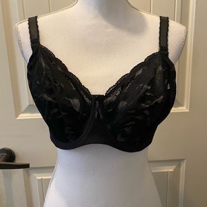 Wacoal Bra- 36DD
